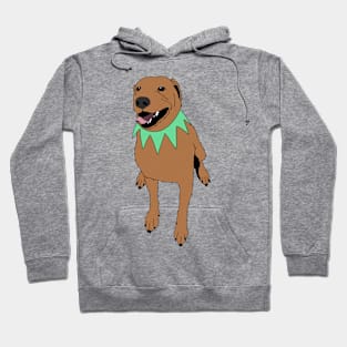 Grateful Dawg Orange Hoodie